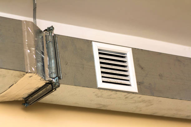 Best Affordable Duct Cleaning Services  in Union Park, FL